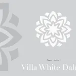 White Dahlia