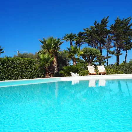 White Dahlia * Torre Suda